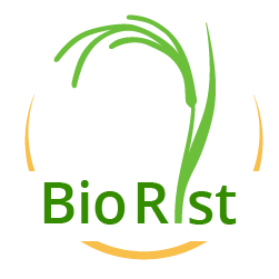 THƯ MỜI HỘI THẢO QUỐC TẾ LẦN 2 - “Valorization of Agricultural Residues in Vietnam -  Opportunities and Challenges for Sustainability”